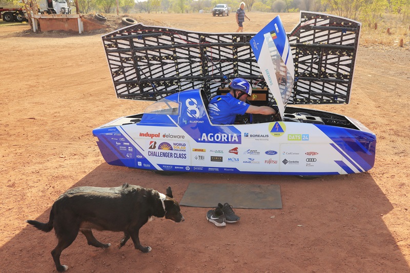 Solar car is parked, charging on red soil. Its panels are raised to the sun. Inside you can see the driver working on the car, and in front of the car is a dog.