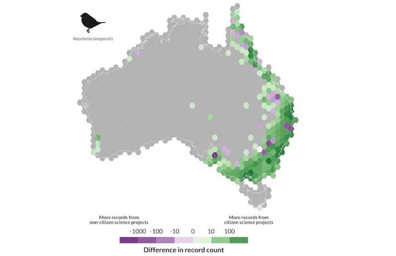 figure showing fire tailed finch locations from citizen science