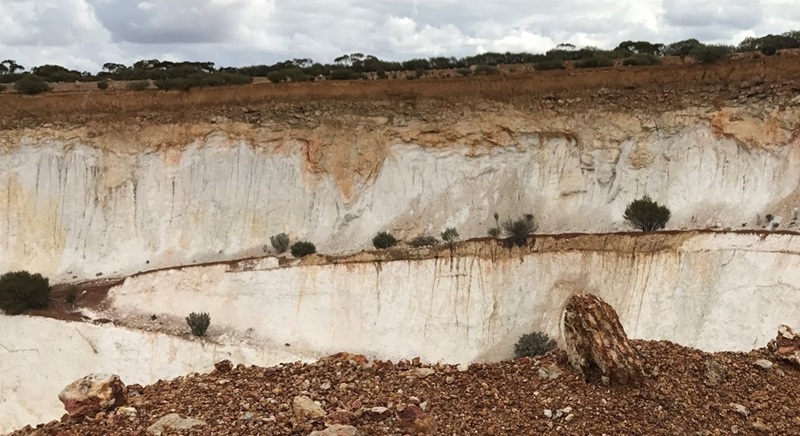 Open cut mine wall showing metres of kalonite seen as white layers of rock underneath brown soil and trees on the surface 