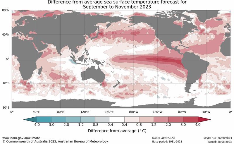 The Bureau of Meteorology's global seasonal forecast for September-November is indicating above average sea temperatures in Australian waters, particularly off Tasmania, in the next three months. Graphic courtesy bom.gov.au.