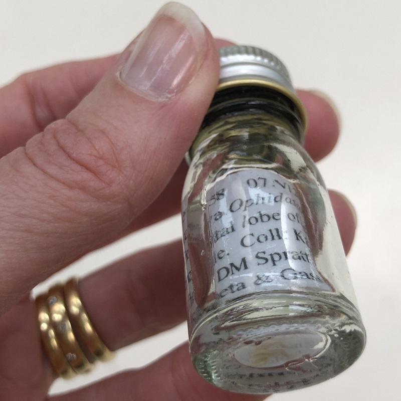 A person's hand hold a small glass jar with a specimen label and a small fragment of a nematode.