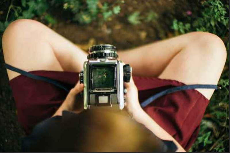 A person looks at a picture of a bird on a camera. 