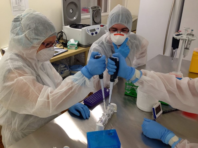 Three people wearing lab coats, hoods, gloves, safety glasses and face masks pipetting liquid in a life sciences lab.