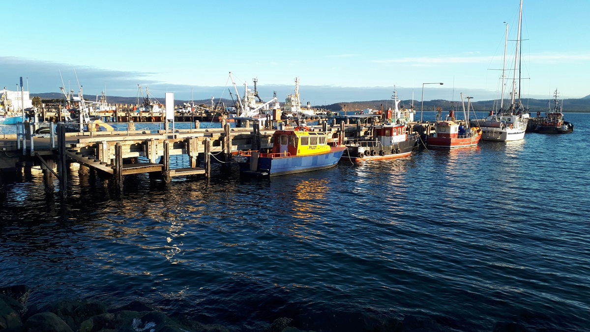 Sea Permaculture: Can We Farm the Ocean Gently?