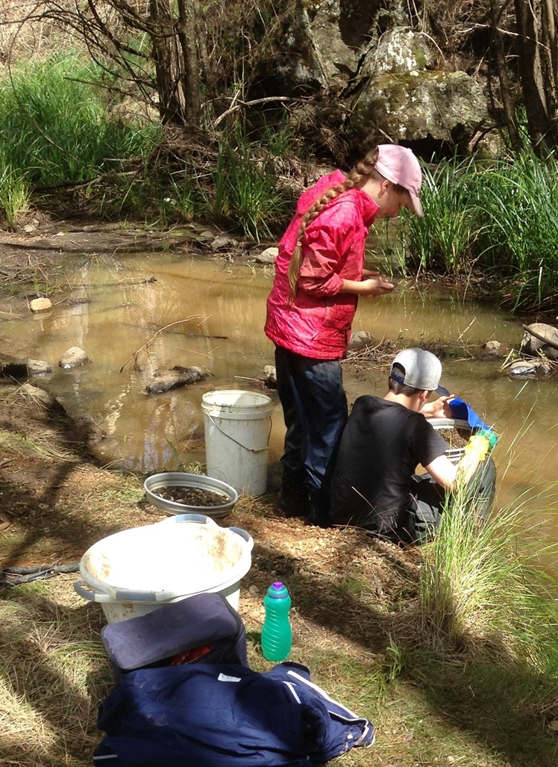 Children fossicking in a stream