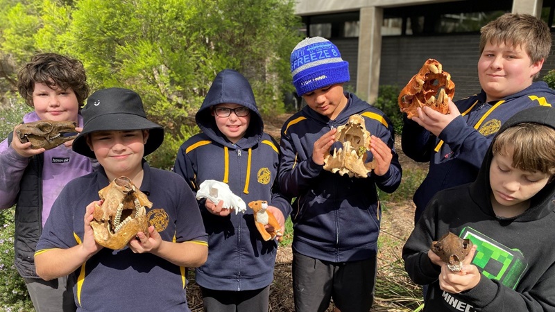 A group of boys hold skulls of Australian fauna from the University’s collection.