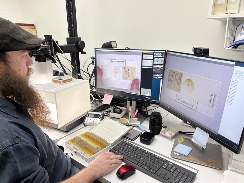 A person at a work station next to a camera with a microscope slide enlarged on the computer screen.