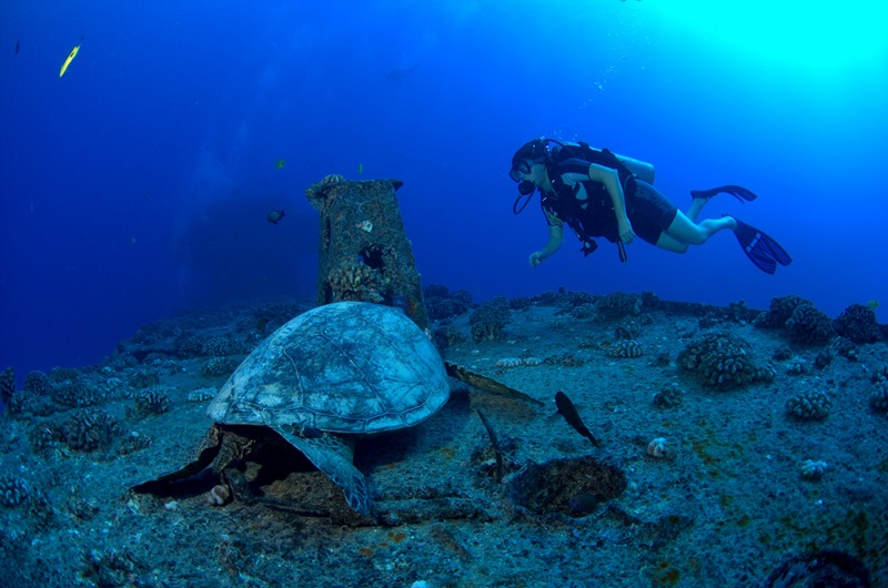 Diver floats underwater looking at a large sea turtle in the foreground.