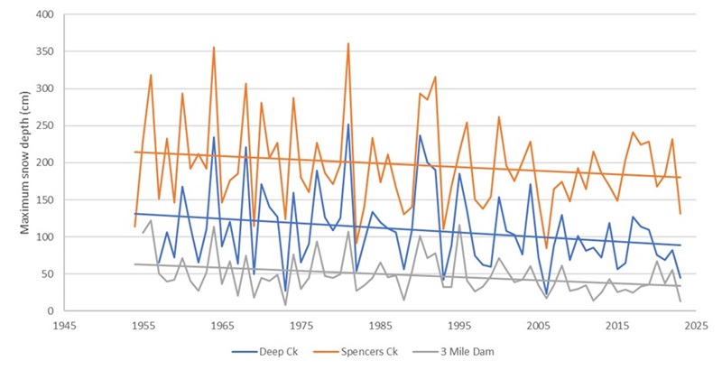 Graph showing the annual maximum snow depth at Spencers Creek.