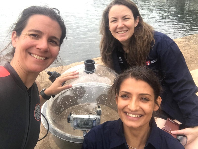 Ana Bugnot, Associate Professor Katherine Dafforn and Giulia Filippini stand on a beach smiling to the camera with a clear, spherical device between them that holds a machine and sand. There is water in the background.