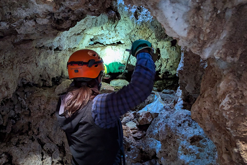 Stacey Priestley installs a drip logger underground.