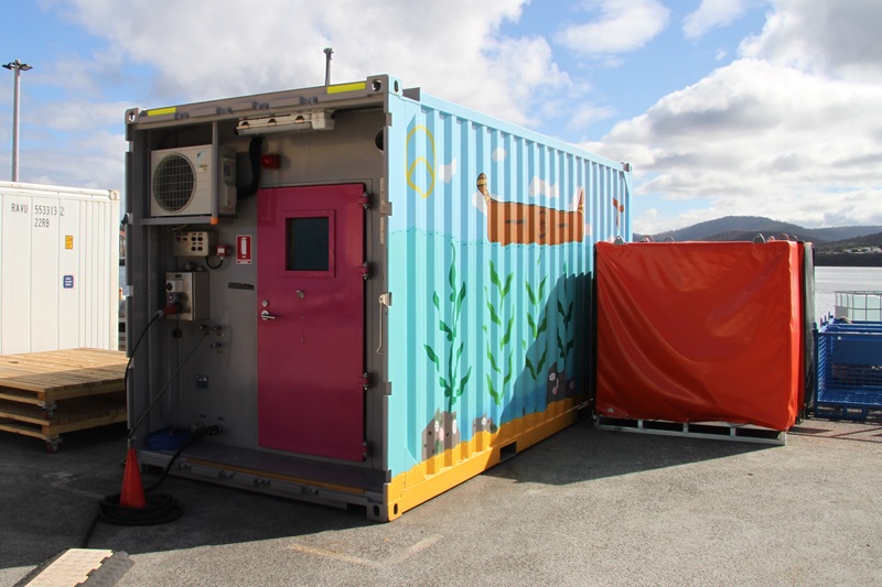A shipping container with painted artwork on its sides on a wharf