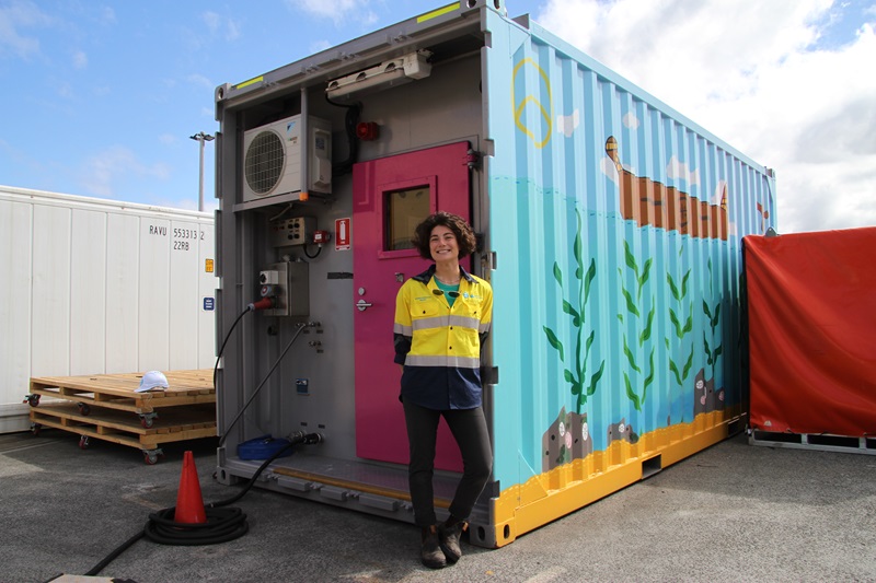 A person standing  on a wharf next to a shipping container that is painted with an eye-catching marine design.