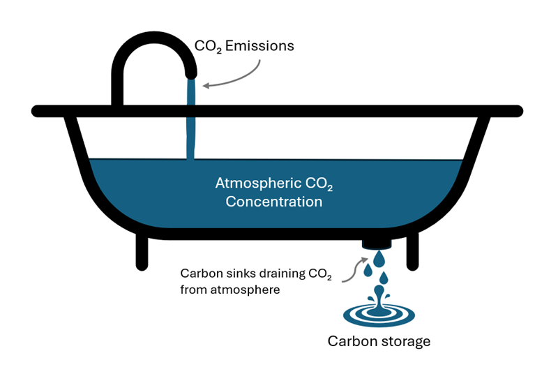 Graph using a bathtub to show the interconnection between emissions entering the bath from the tap, water in the bath representing atmospheric CO2 concentration, water coming out of the plug hole showing CO2 being drawn into carbon sinks and a puddle on the floor representing carbon storage.