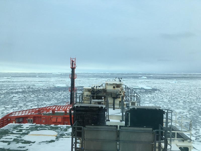 The bow of the RSV Nuyina as it navigates its way through a sea of ice