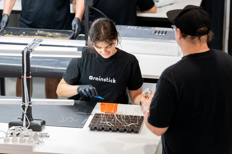 A person in a black t-shirt and wearing black gloves sitting at a work bench is using tweezers to plant seedlings in a plant tray.