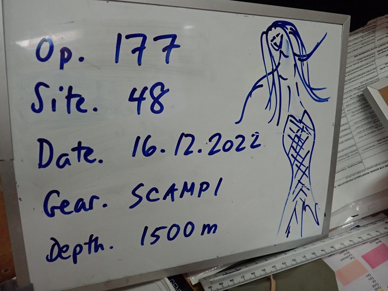 A whiteboard showing details for a biological sampling survey at sea.