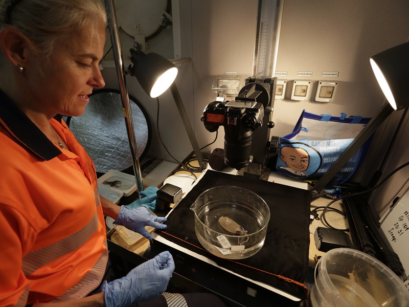 A person taking photographs in a darkened laboratory.