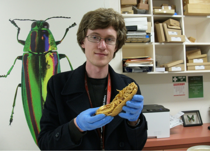 A person holding the specimen of an animal.