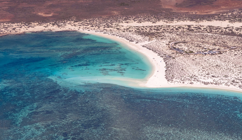 Aerial shot of a reef near the shoreline reaching shallow blue waters, beach and scrub.