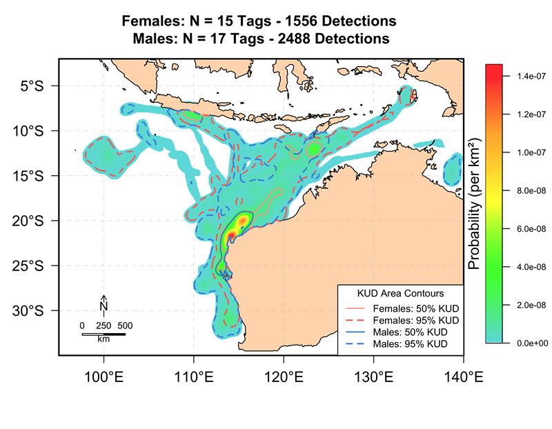 Graph with longitude (side) and latitude (bottom) with map of Australia and lines showing travelling patterns of female and male whale sharks.