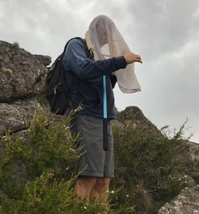 Doug Hilton in the field with a net catching moths