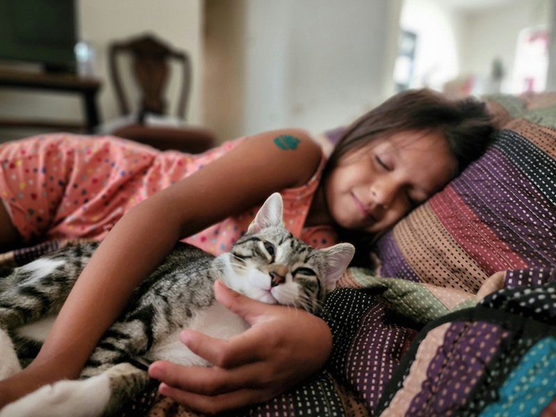 A young girl cuddling a cat on the couch