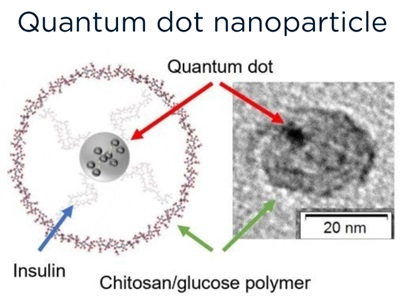 A diagram and a microscope image of a quantum dot nanoparticle