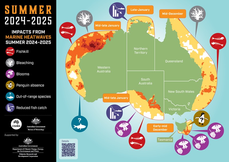 Infographic showing map of Australia with icons around the coast showing the marine events which occurred over the 2024-25 summer. A key on the left explains the icons.