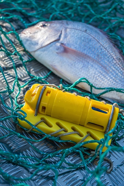 A fish in a net with a yellow plastic sensor