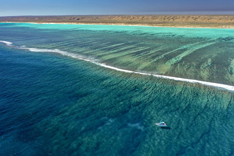 A small research vessel is anchored above an expansive reef with land and blue sky in the background.