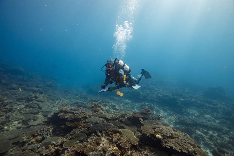 A scuba-diving scientist holds a scientific instrument against a piece of coral on the seafloor. 