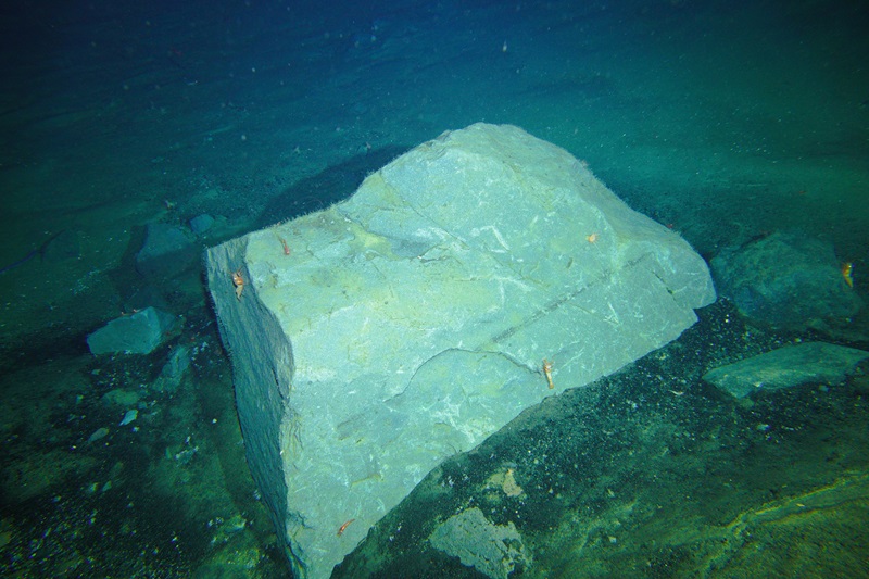 An underwater view of a boulder on the seafloor.
