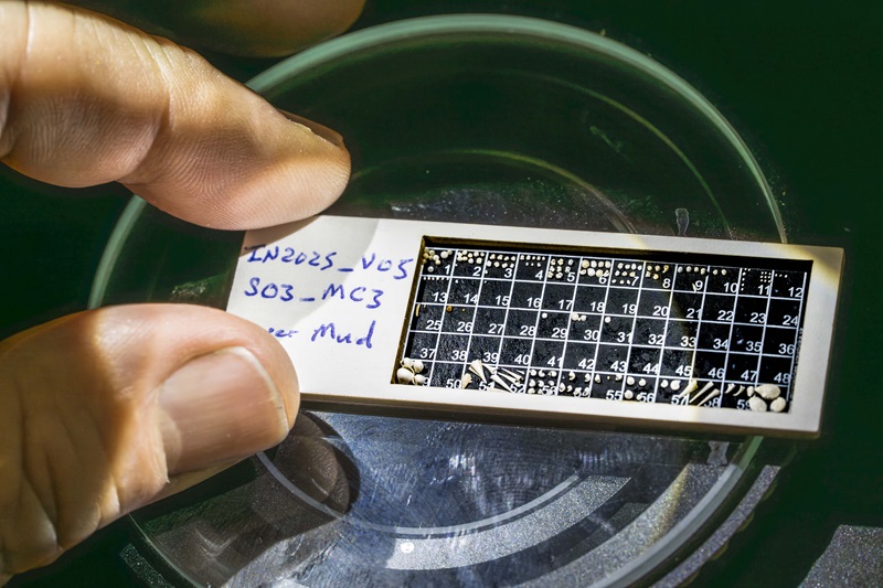 A numbered tray containing tiny scientific samples.