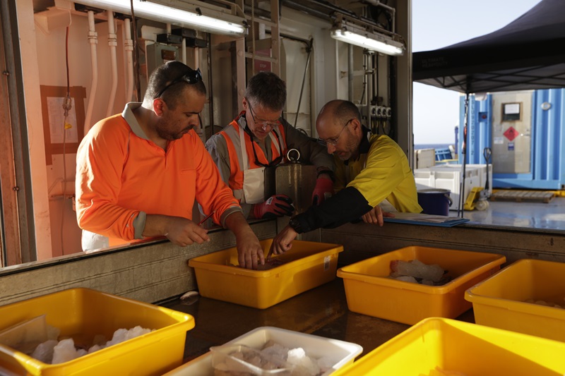 Three people on a ship looking at fish specimens in plastic tubs on a table.