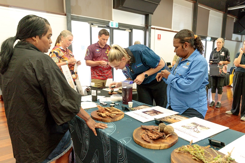 People learning how to make bush medicine using plants 