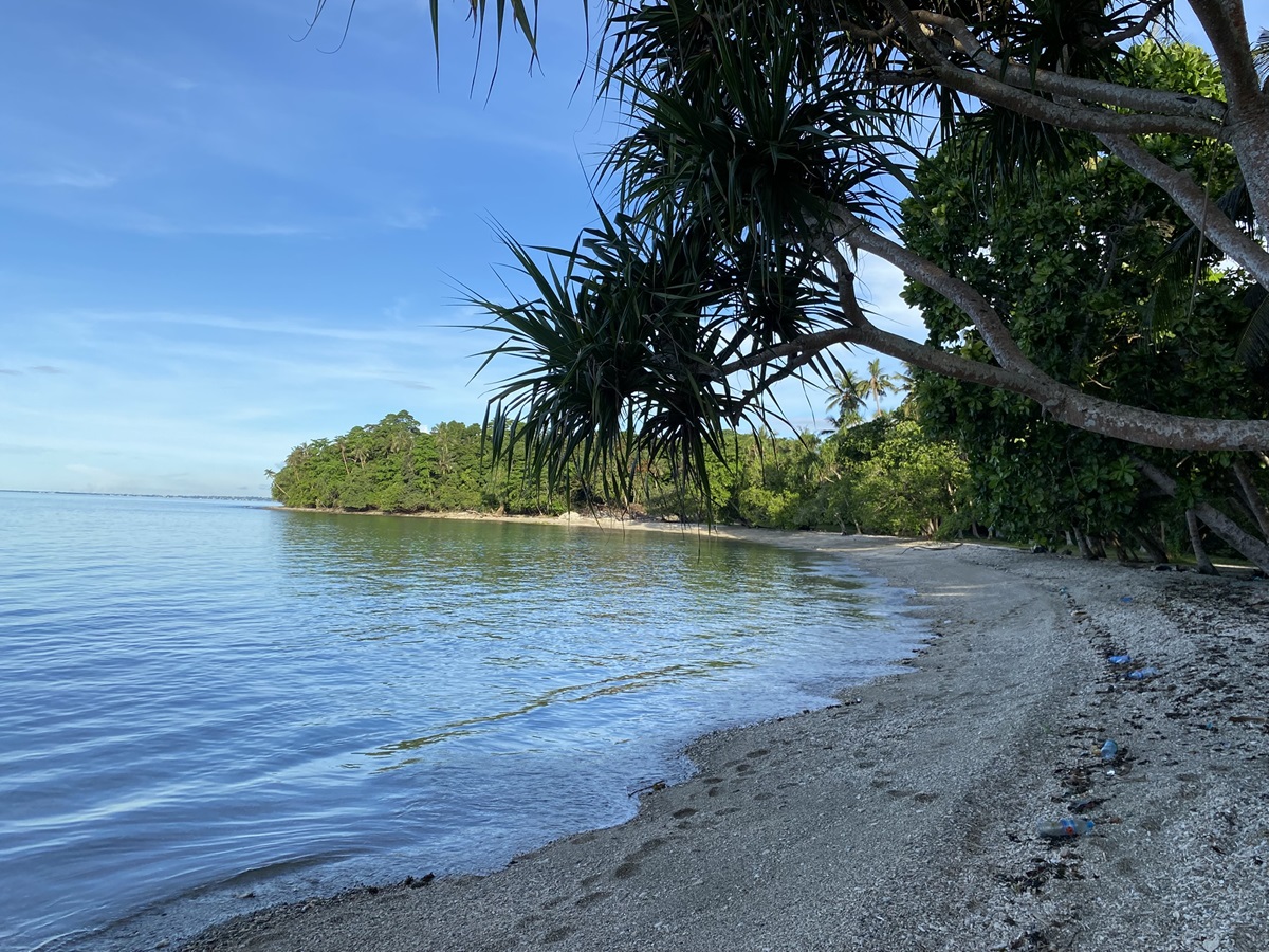 Climate Resilient Food Systems For Pacific