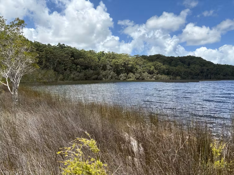 Lake Garawongera with bush in the foreground and low hills in the background