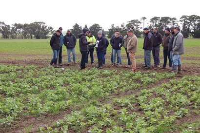 Dr James Manson presenting to a group of growers during a field walk in a broadacre crop.