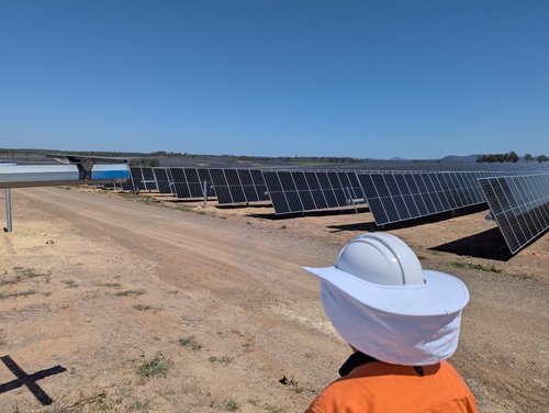 Man is looking out at solar panels in a field under blue sky.