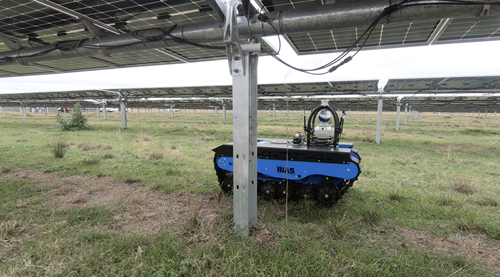 Robot in between photovoltaic panels, blue robot on green grass. 