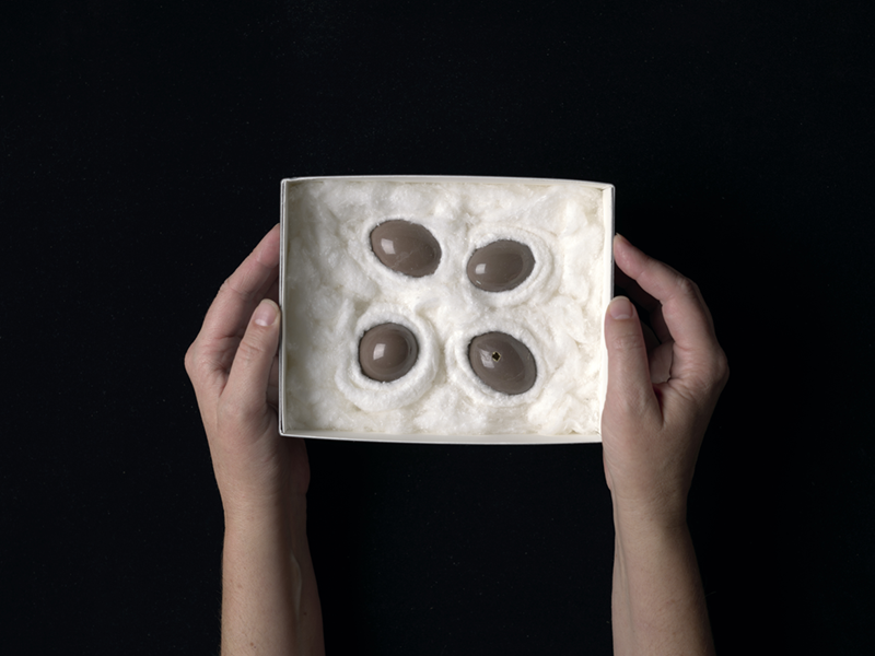 Four round small eggs sit inside a box, on top of wool. A person holds the box. They look like chocolate eggs. They are the eggs of a Chilean Tinamou (Nothoprocta perdicaria). 