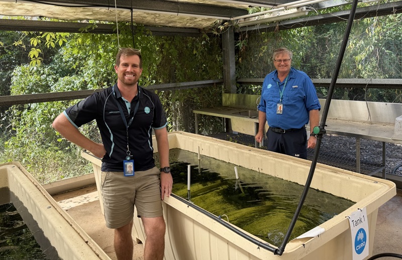 Tim Perrin and Adam Chapman lean against aquaculture tanks at a covered outdoor research facility, with tropical vegetation behind them.