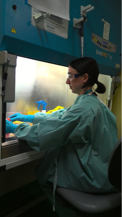 Researcher in a lab suit and gown working with test samples.