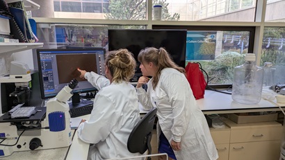 Two lab researchers in white coats examine microscopic imagery on a computer screen, with one pointing at red-stained cells; a microscope and lab equipment are visible on the bench.