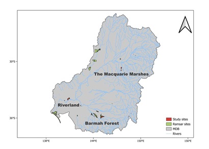 A map depicting the Murray-Darling Basin shows the locations of the Macquarie Marshes, Riverland, and Barmah Forest wetlands. 