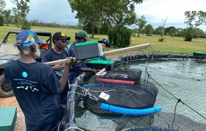 Tiwi community members handling equipment next to the prawn farm ponds.