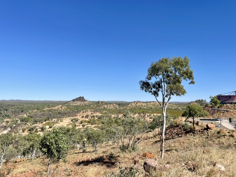 Landscape of Australia showing low vegetation and tree in foreground