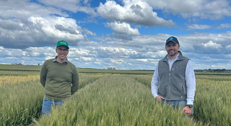 Two men stand either side of a dense, tall wheat plot with a research sign in front, under a partly cloudy sky.