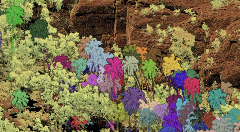 3D terrain and vegetation data showing palms identified and classified in different colours.